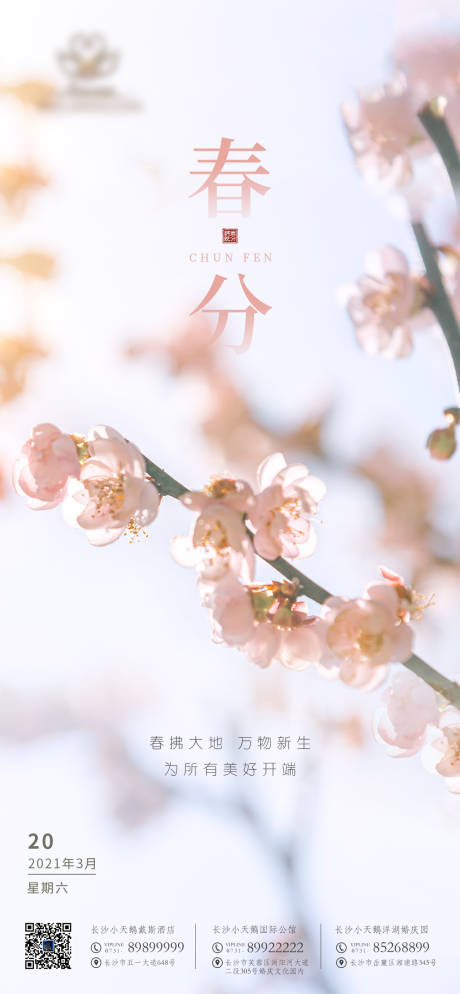 源文件下载【春分热点海报】编号：27970008835222749