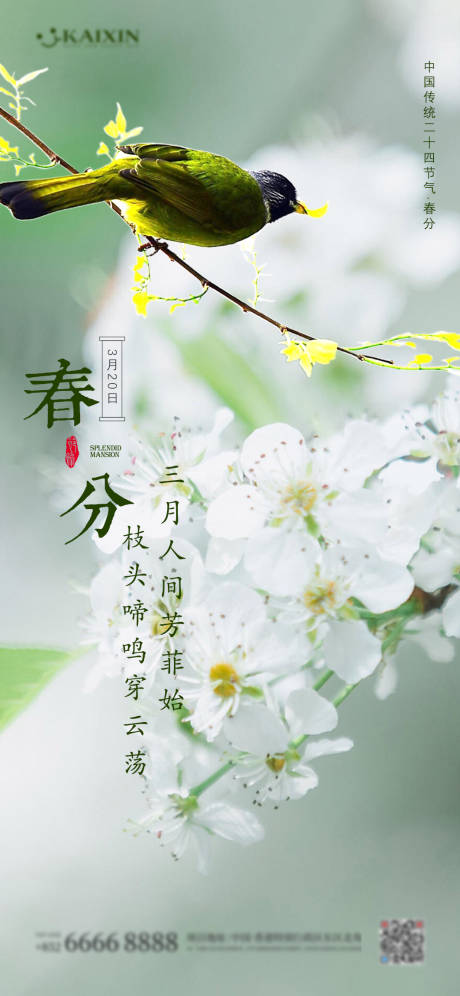 源文件下载【春分节气手机海报】编号：53070008998834024