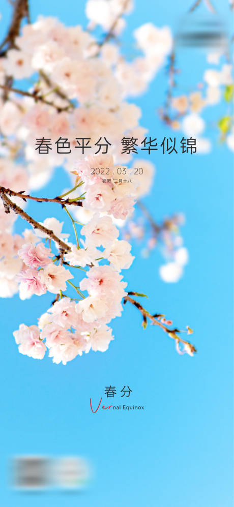 源文件下载【享设计】搜索编号：20470009084133593【春风】