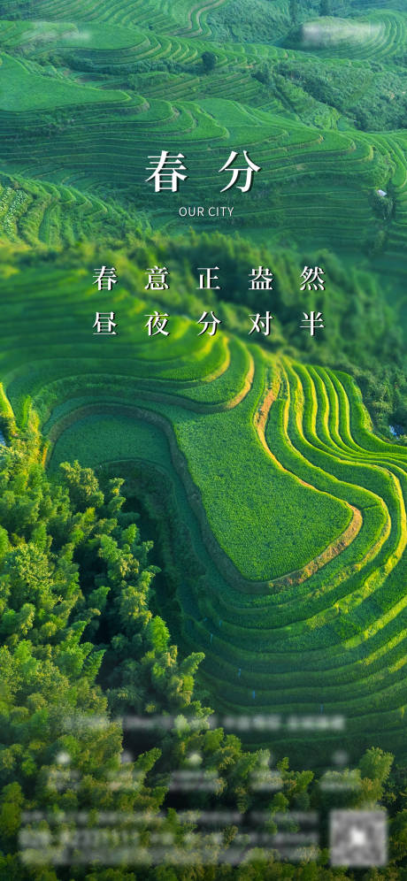 源文件下载【春分海报】编号：64120009044485685