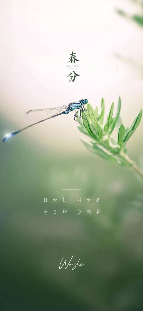 源文件下载【春分节气海报】编号：94480008808374887