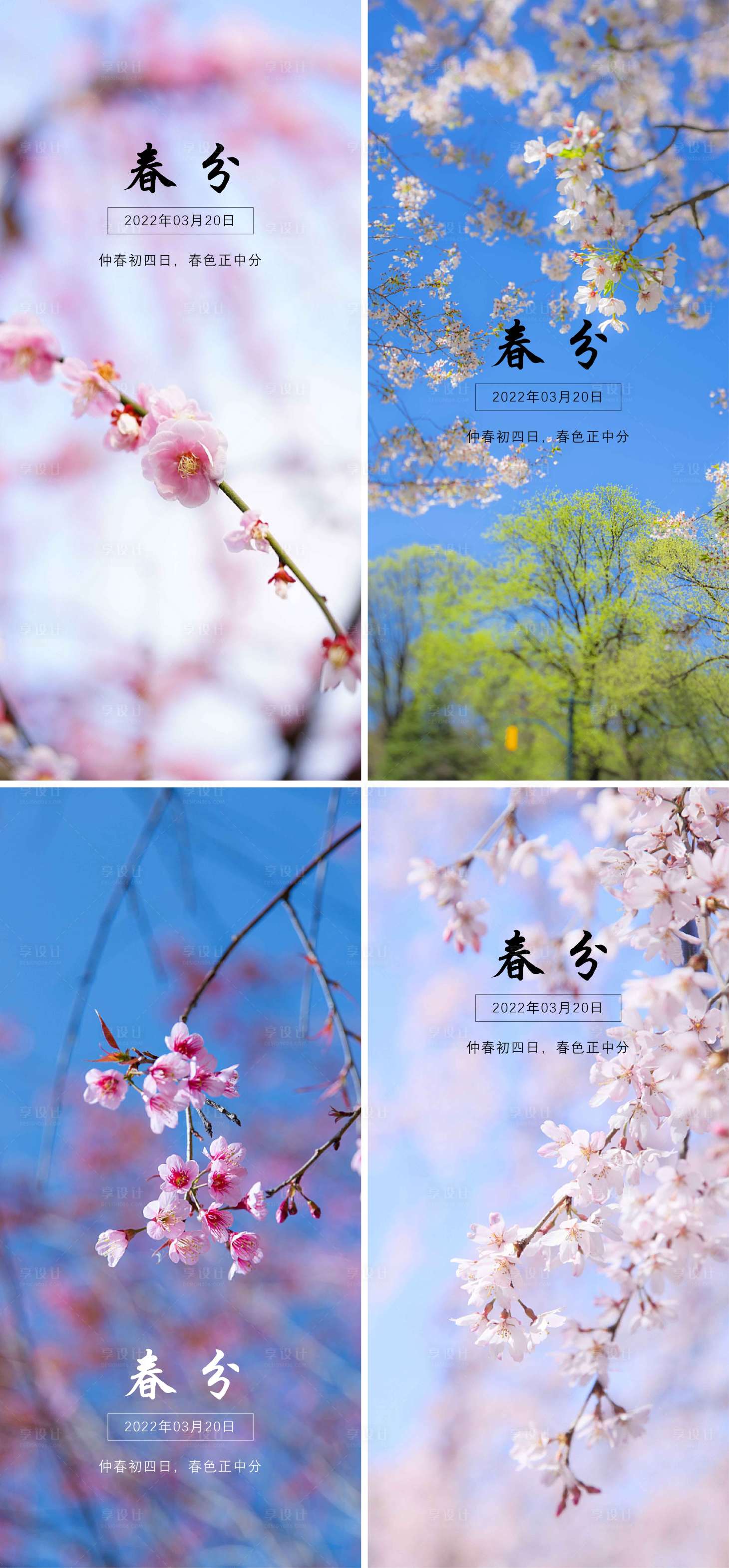 源文件下載【享設(shè)計】搜索編號：54010008848282284【春分節(jié)氣刷屏海報】