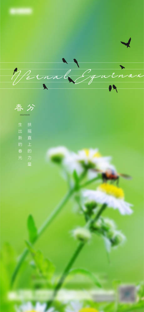 源文件下載【春分節氣海報】編號：73790008972593812