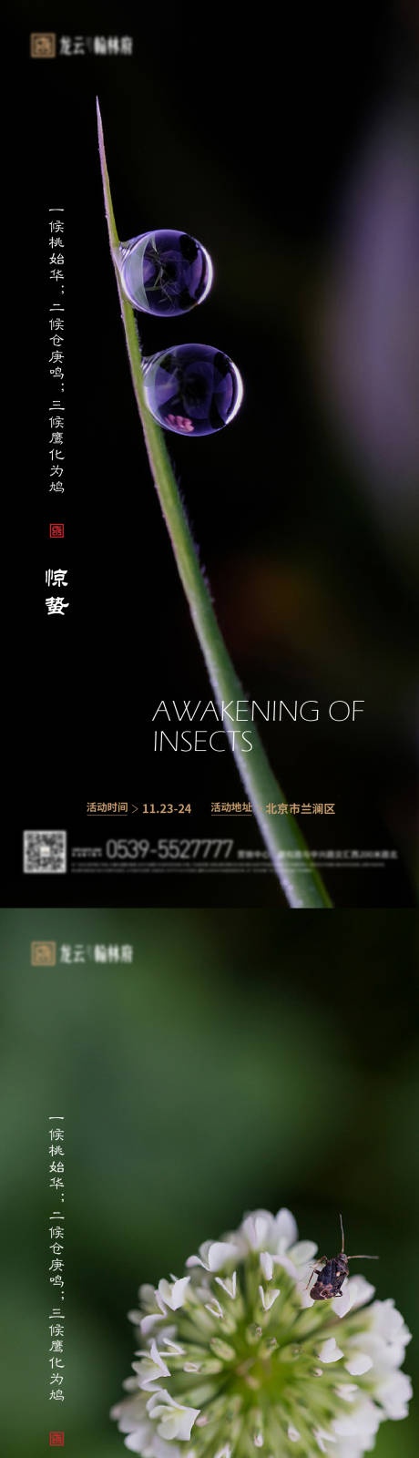 源文件下载【惊蛰春天系列海报】编号：83200008688716941