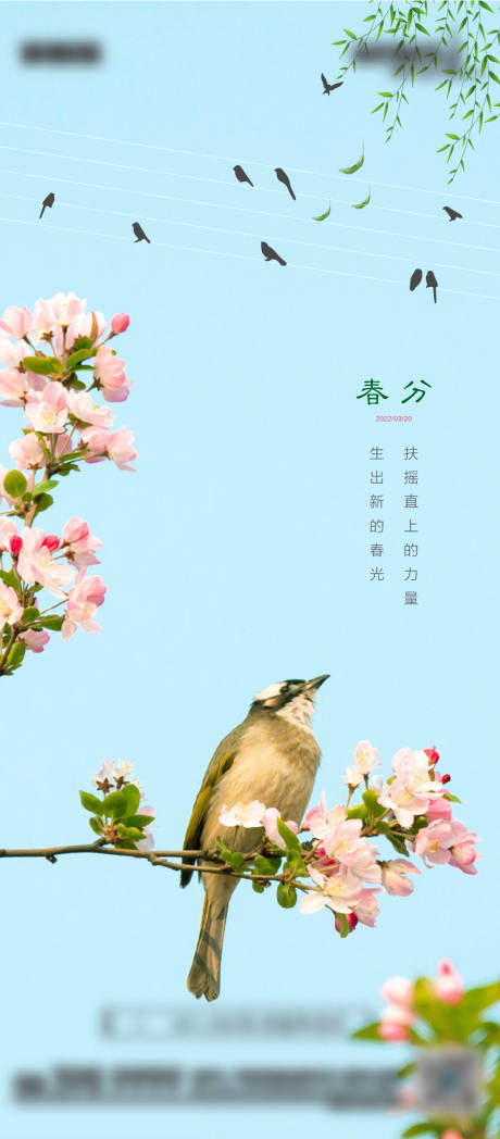 源文件下载【春分节气海报】编号：19590008972585635