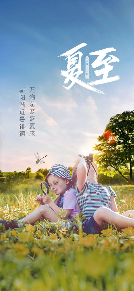 源文件下载【夏至节气海报】编号：43140008923822093