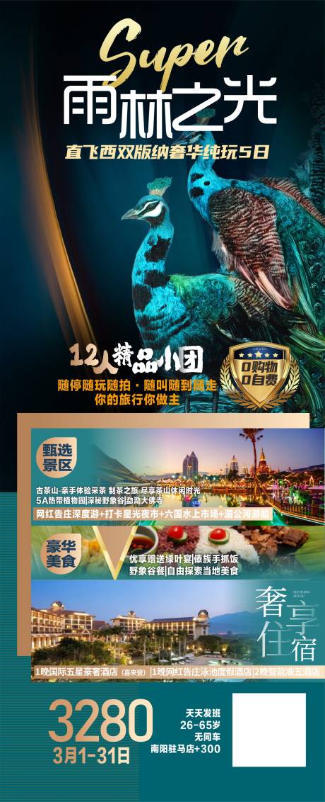 源文件下载【云南版纳旅游海报】编号：28190009038029684