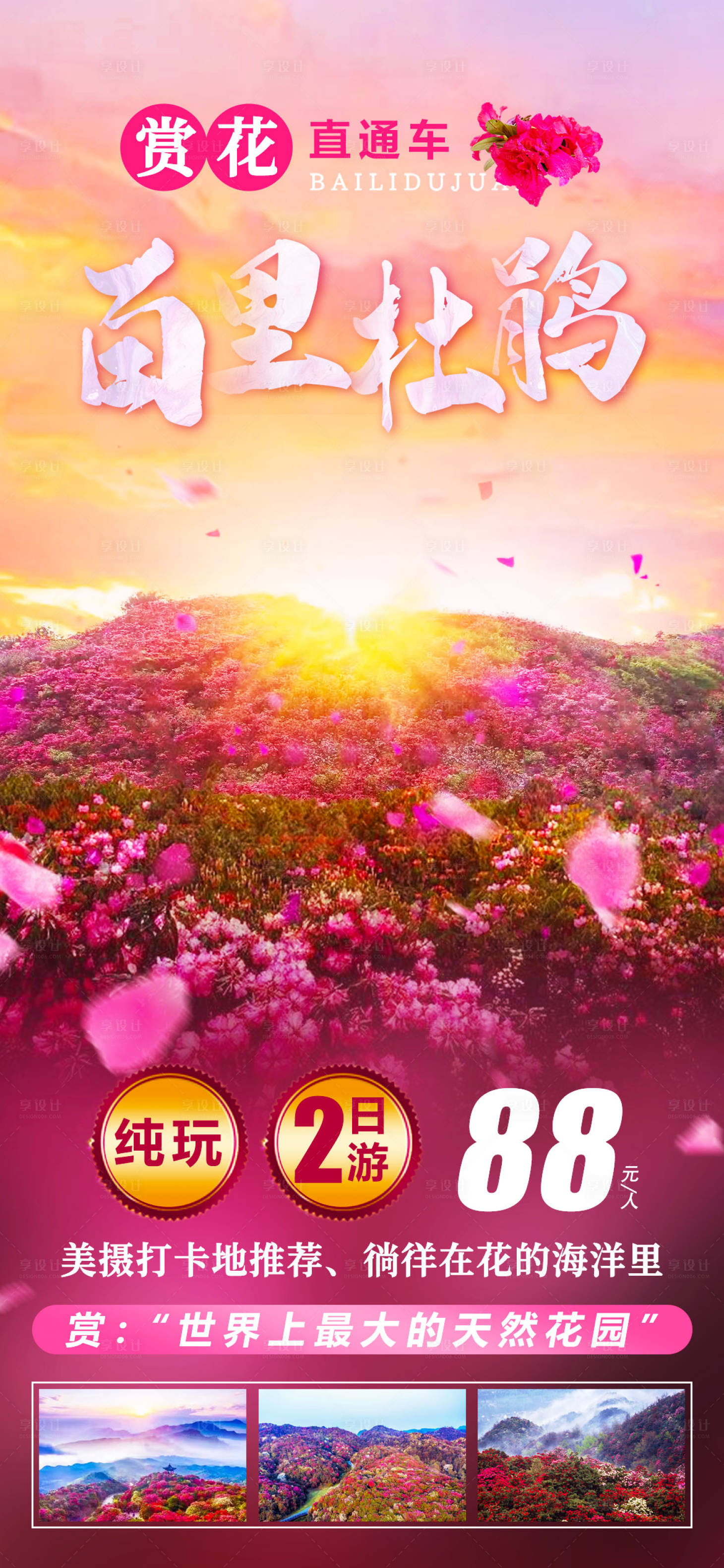源文件下載【享設(shè)計(jì)】搜索編號(hào)：34490009005062753【貴州百里杜鵑旅游海報(bào)】