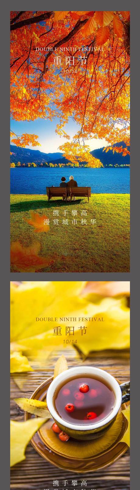 源文件下载【重阳节海报】编号：23220008870205984