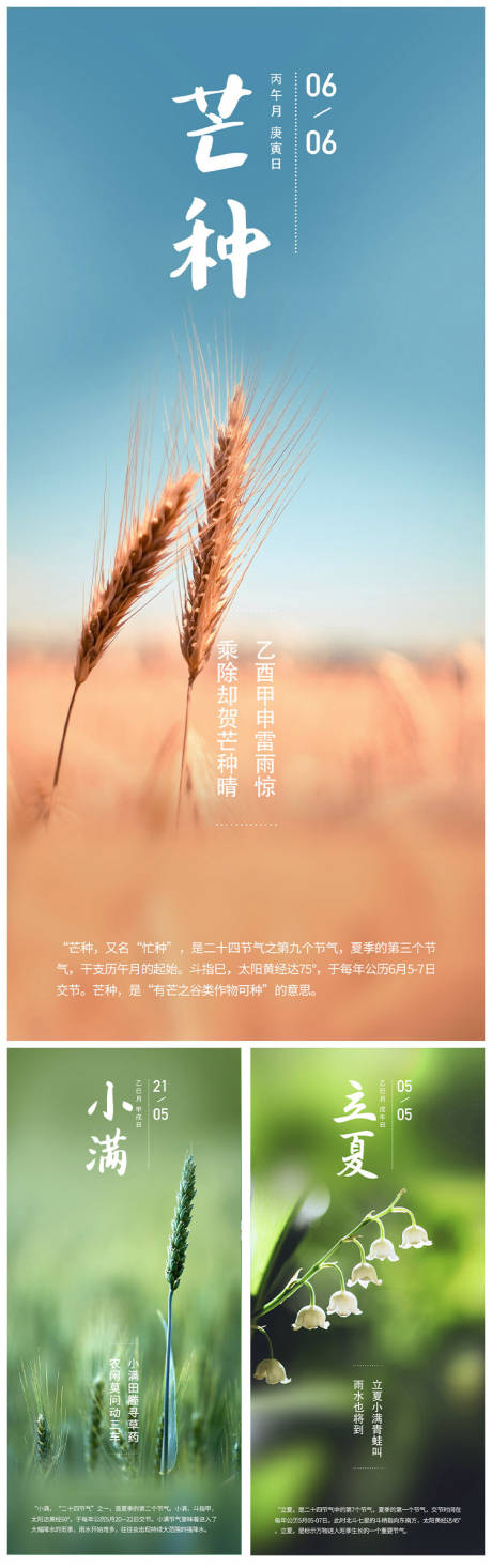 源文件下载【立夏小满芒种系列海报】编号：13850009143259100