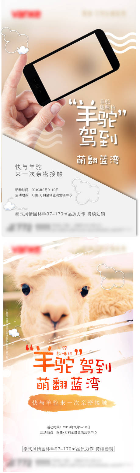 源文件下載【享設(shè)計】搜索編號：23640009035666110【羊駝活動海報】