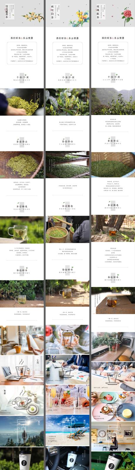 源文件下载【茶叶落地页 】编号：12150008835309444