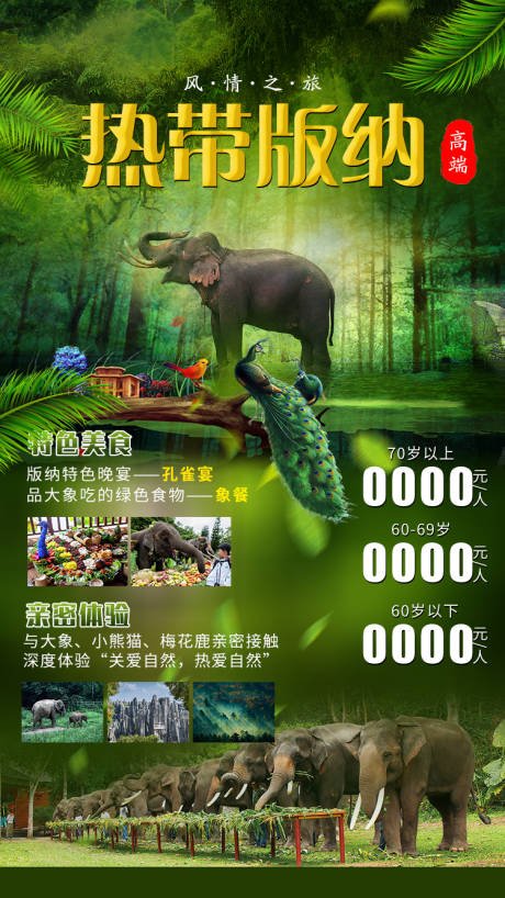 源文件下载【热带西双版纳旅游海报】编号：62690009017367253