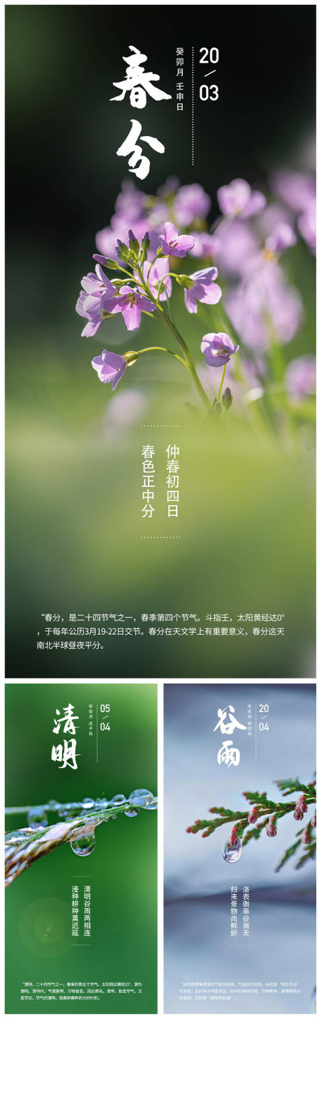 源文件下载【春分清明谷雨系列海报】编号：12880009119461933