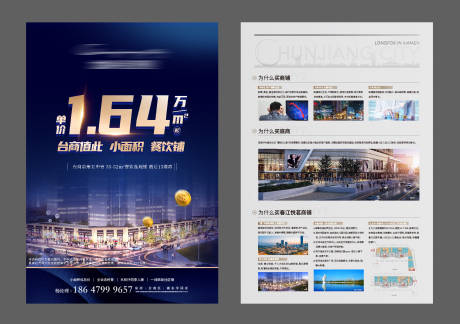源文件下载【商业海报】编号：91000009112061224