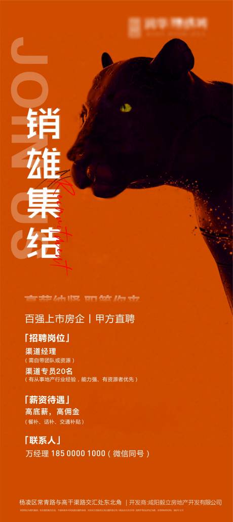 源文件下载【招聘单图 】编号：24080009312628940
