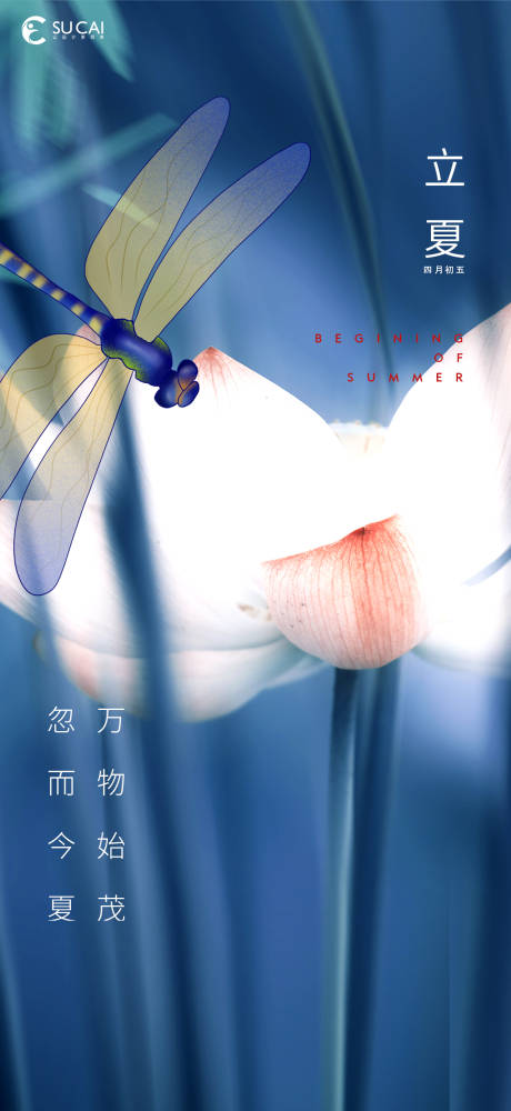 源文件下载【立夏节气海报】编号：37380009612106748
