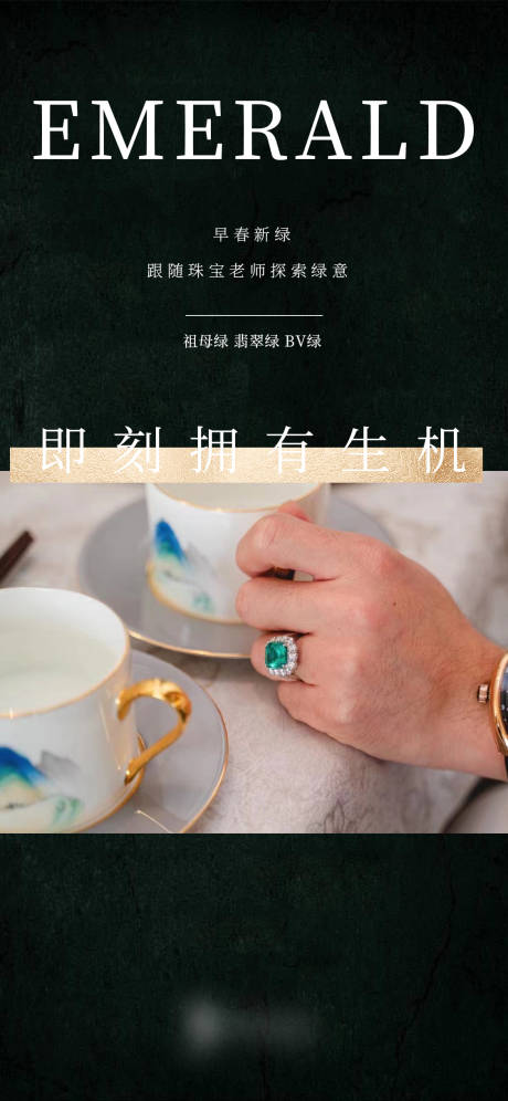 源文件下载【珠宝翡翠鉴赏活动海报】编号：13860009541212370
