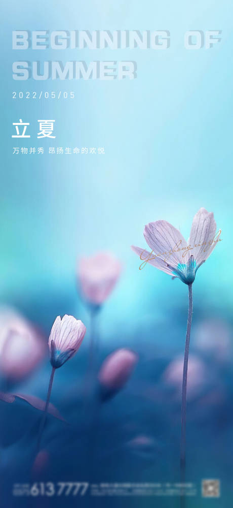 源文件下载【立夏节气海报】编号：65170009627694667