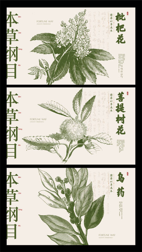 源文件下载【享设计】搜索编号：77880009420805542【本草纲目中药展板】