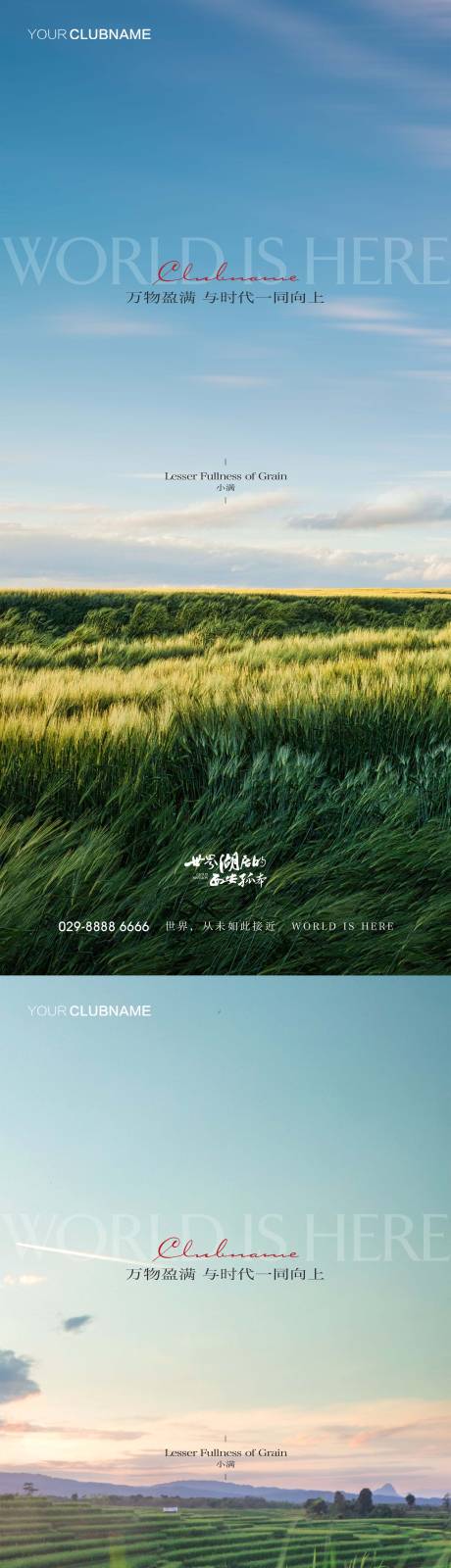 源文件下载【小满节气系列海报】编号：77680009655766909