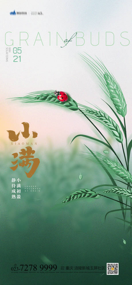 源文件下載【小滿節氣海報】編號：64100009326057060