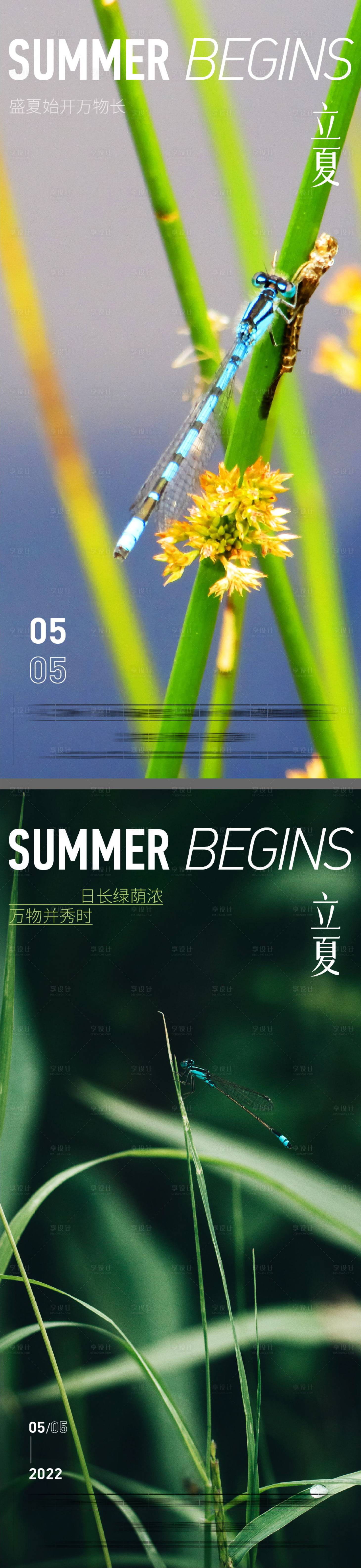 源文件下载【享设计】搜索编号：40010009354569153【立夏夏节气系列海报】
