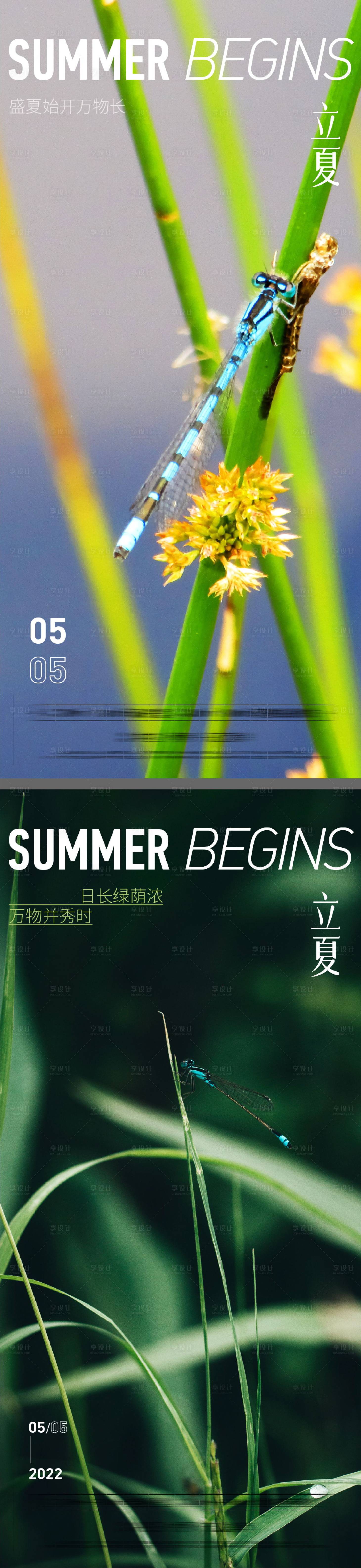编号：20220408151715826【享设计】源文件下载-立夏夏节气系列海报