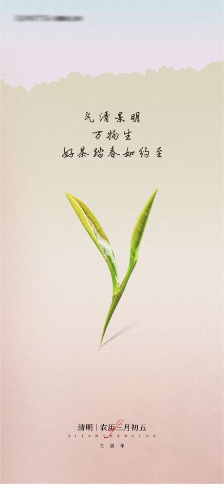 源文件下载【春天清明节海报】编号：51930009410143084