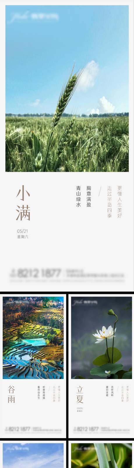 源文件下载【谷雨立夏芒种夏至 小满二十四节气系列】编号：20220427141255628