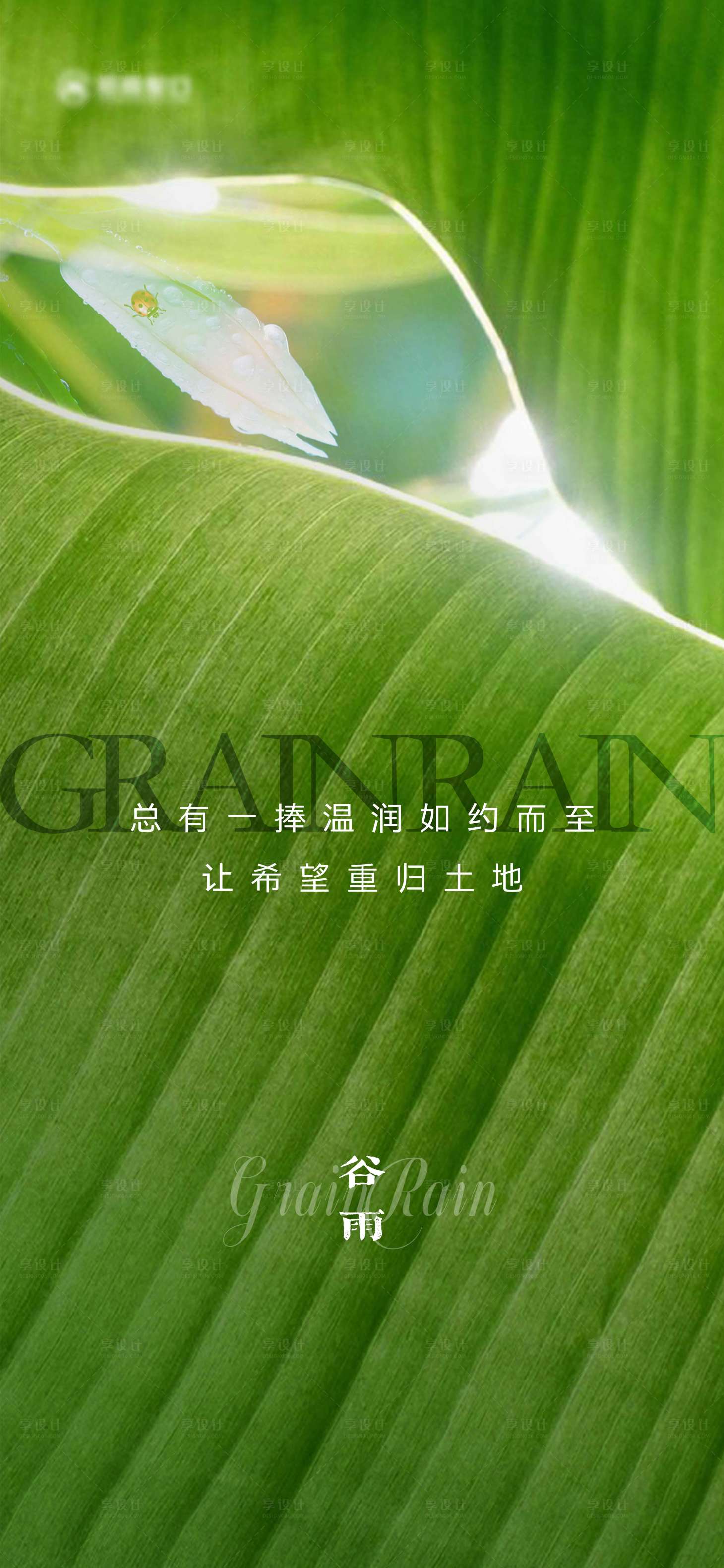 源文件下载【享设计】搜索编号：63090009429815021【谷雨节气海报】