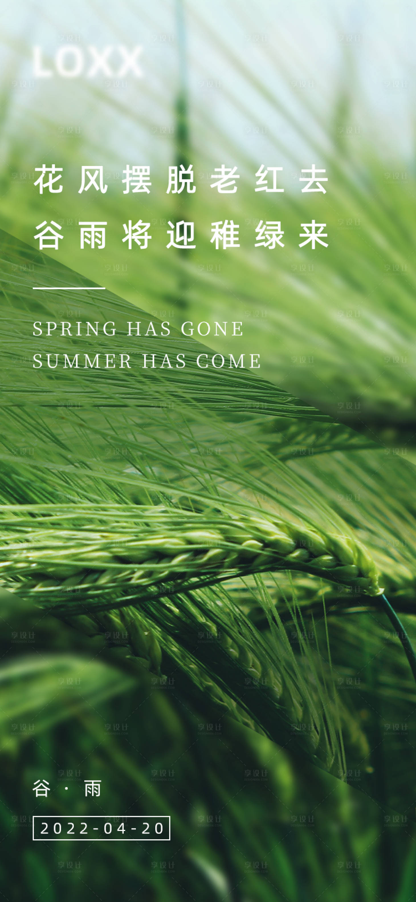 源文件下载【谷雨节气海报】编号：52020009368501915