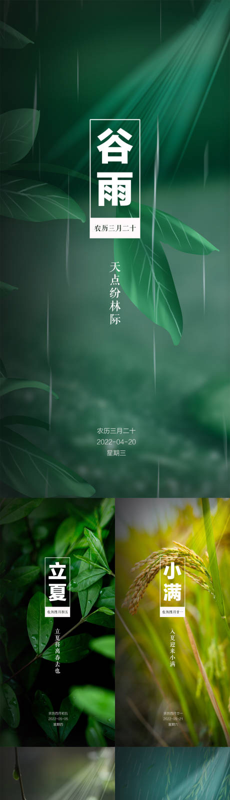 源文件下载【谷雨节气海报】编号：14240009418312832