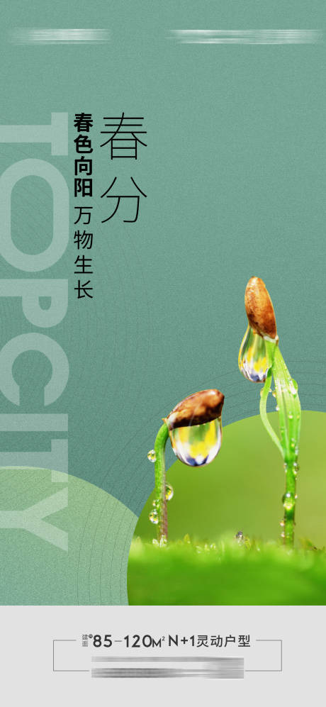 源文件下载【地产二十四节气春分节气海报】编号：60540009681675686