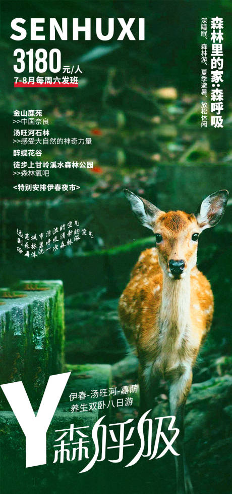 源文件下载【森呼吸旅游海报】编号：89300009703342610