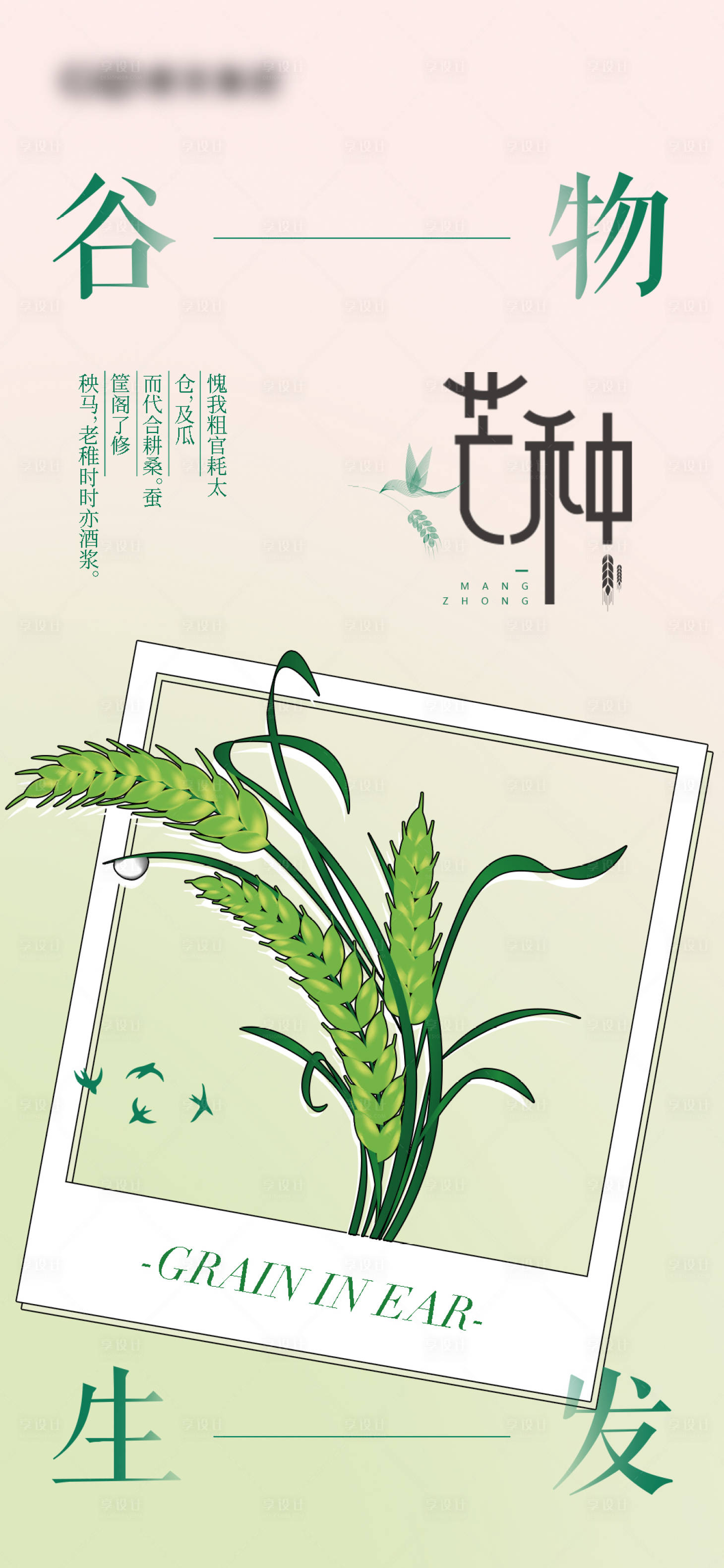 源文件下载【芒种节气海报】编号：28000009527681333