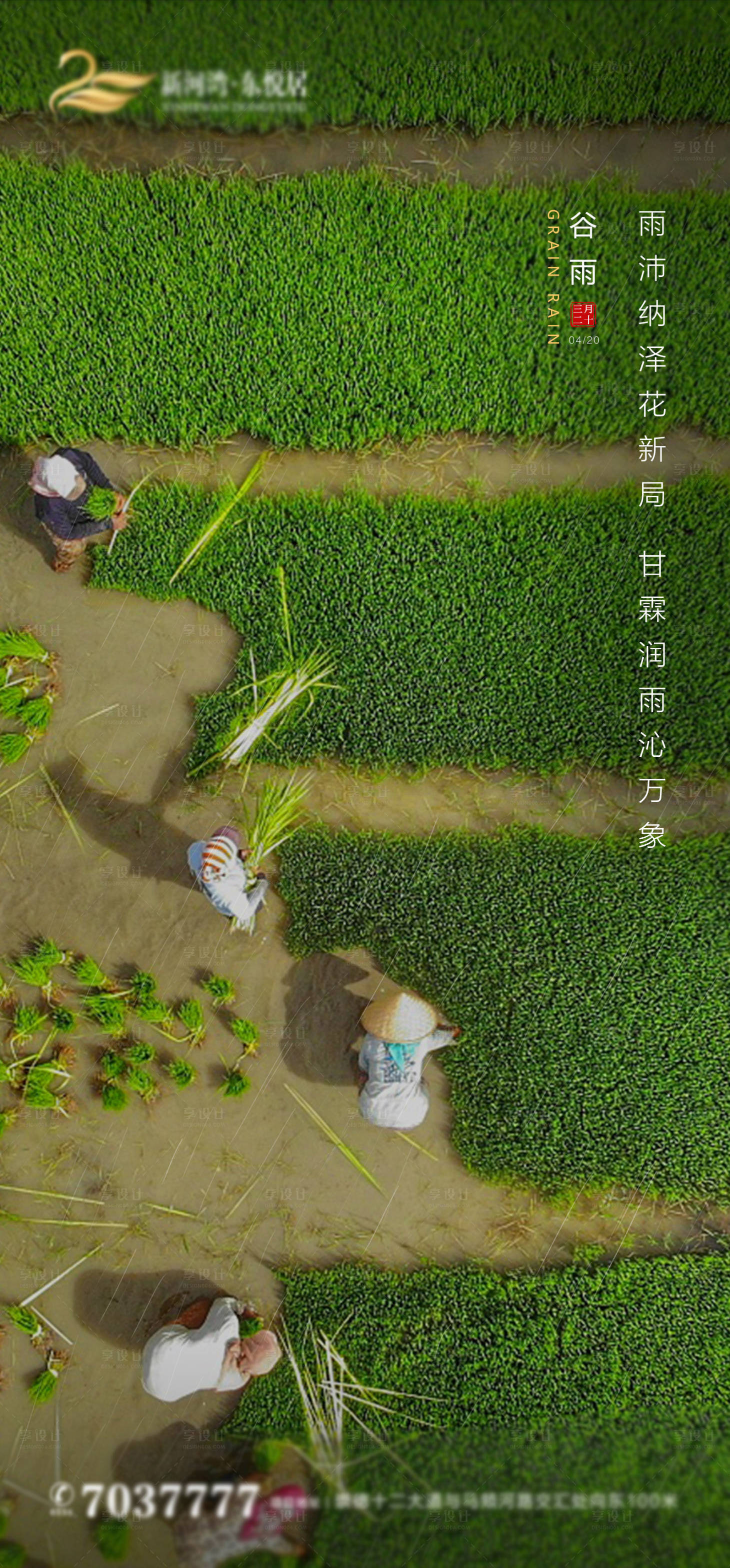 源文件下载【享设计】搜索编号：89150009518249679【谷雨】