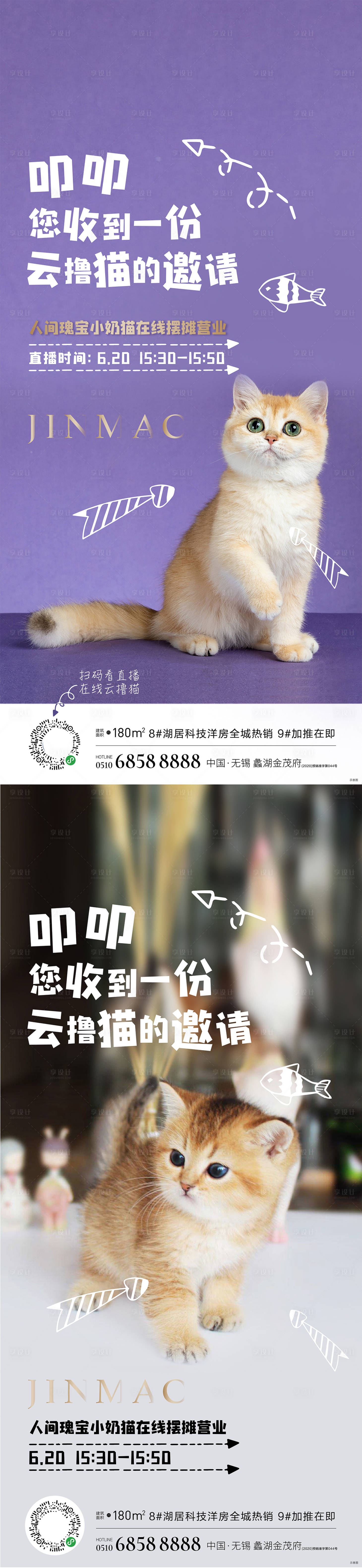 源文件下载【享设计】搜索编号：52790009540949552【猫直播简约系列海报】