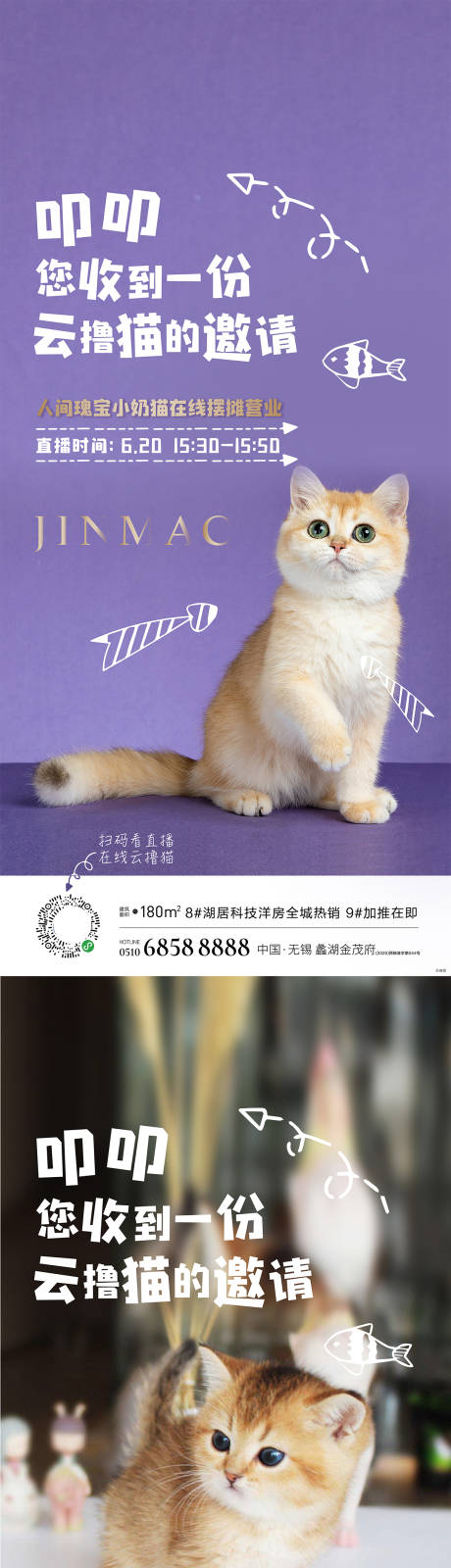 编号：20220419120205003【享设计】源文件下载-猫直播简约系列海报