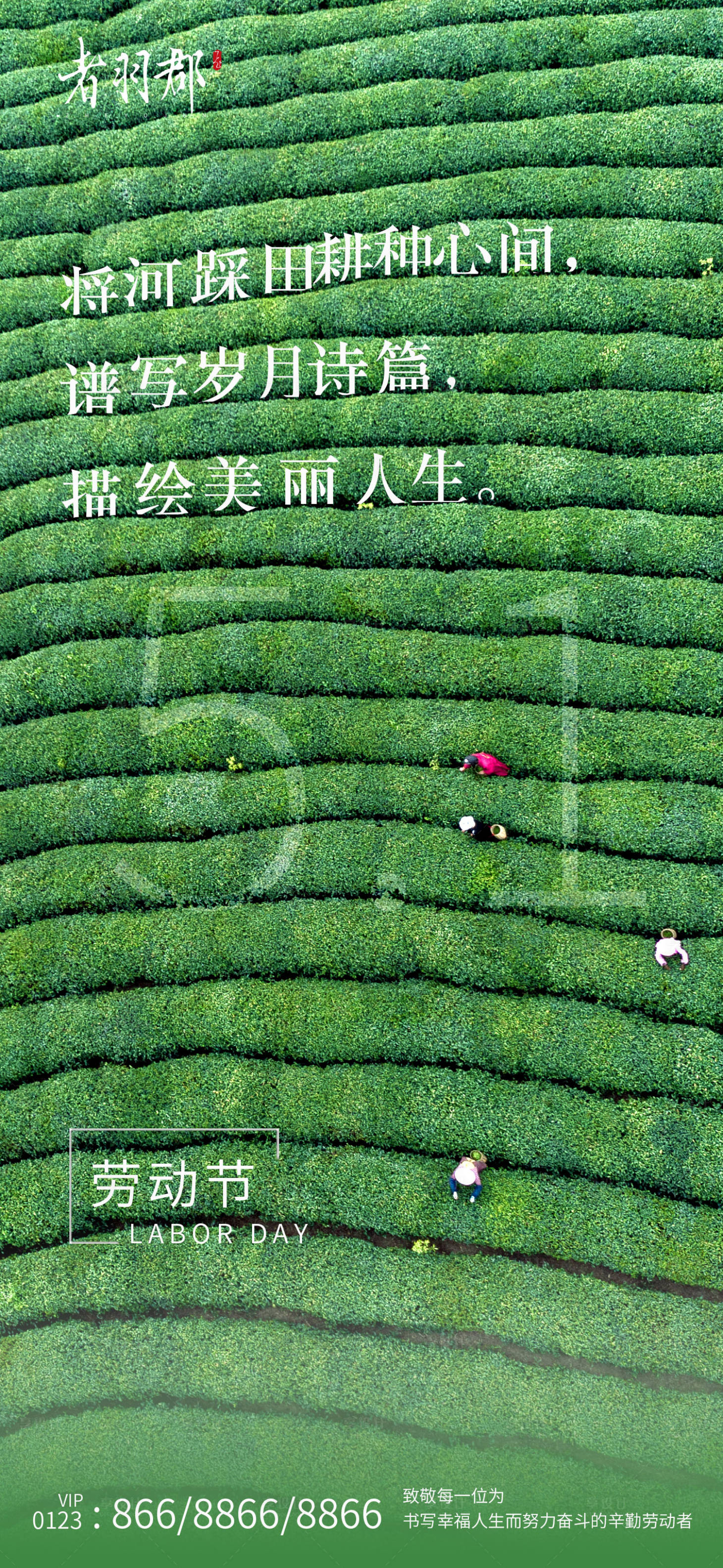 源文件下载【五一劳动节海报】编号：85820009465663185