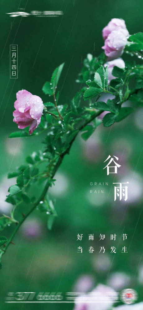 源文件下载【谷雨节气海报】编号：12790009449963600