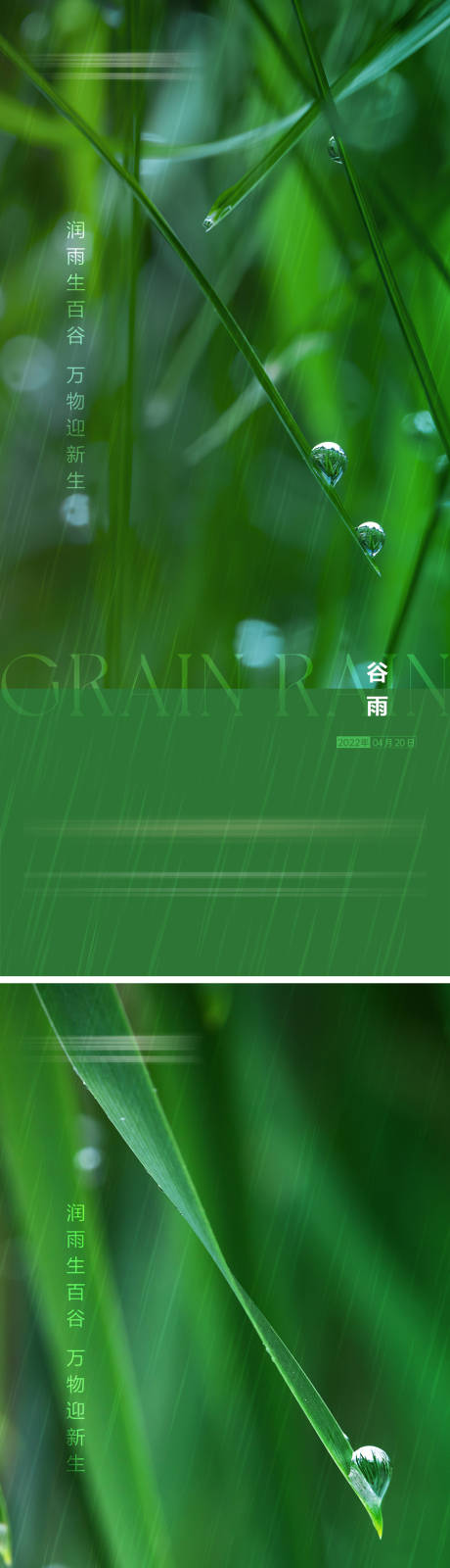 源文件下载【谷雨节气刷屏海报】编号：20330009430853050