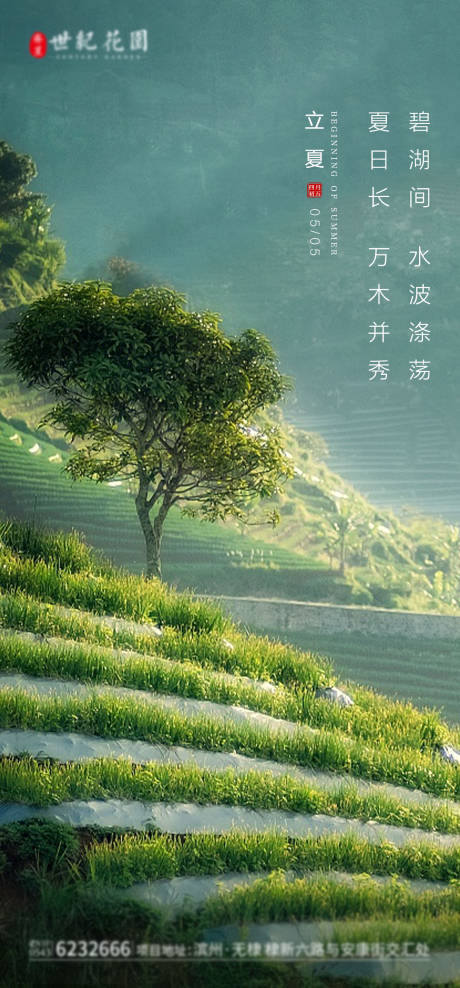 源文件下载【立夏节气海报】编号：50340009633103407