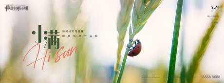 源文件下载【地产24节气-小满】编号：30760009717962613