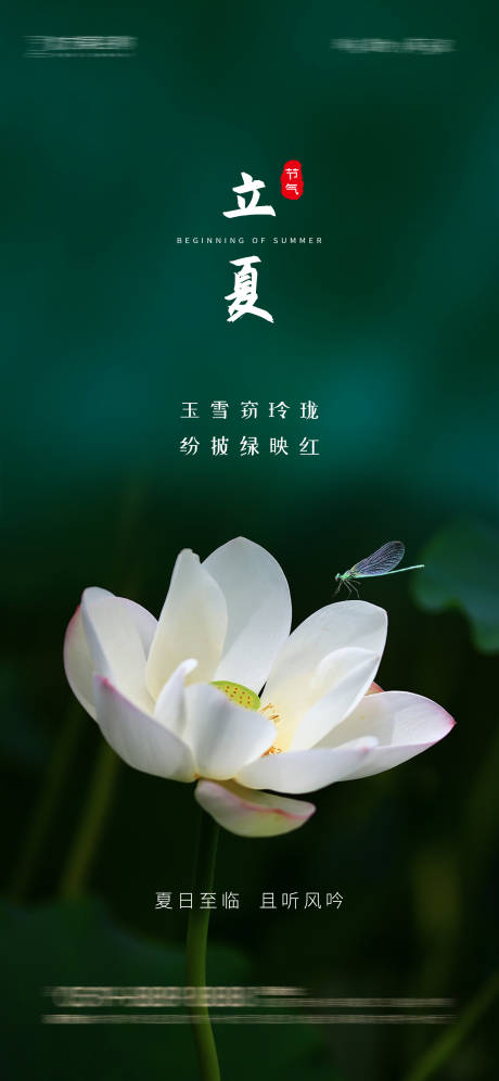 源文件下載【立夏】編號：94080009528808712