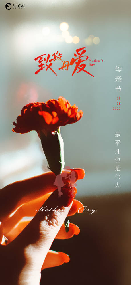 源文件下載【母親節(jié)海報】編號：90610009597169590
