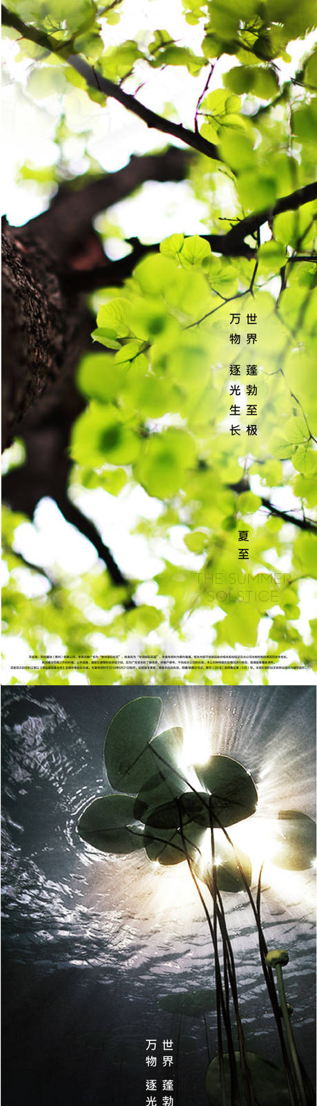 源文件下載【節(jié)氣海報(bào)】編號(hào)：64980009294901024