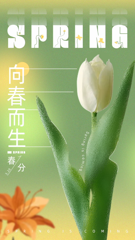 源文件下载【春天春分海报】编号：62150009242906076