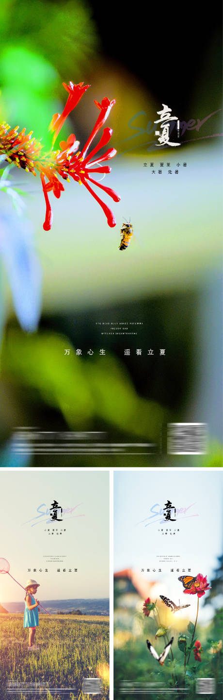 源文件下载【立夏夏至节气海报】编号：27210009633998152