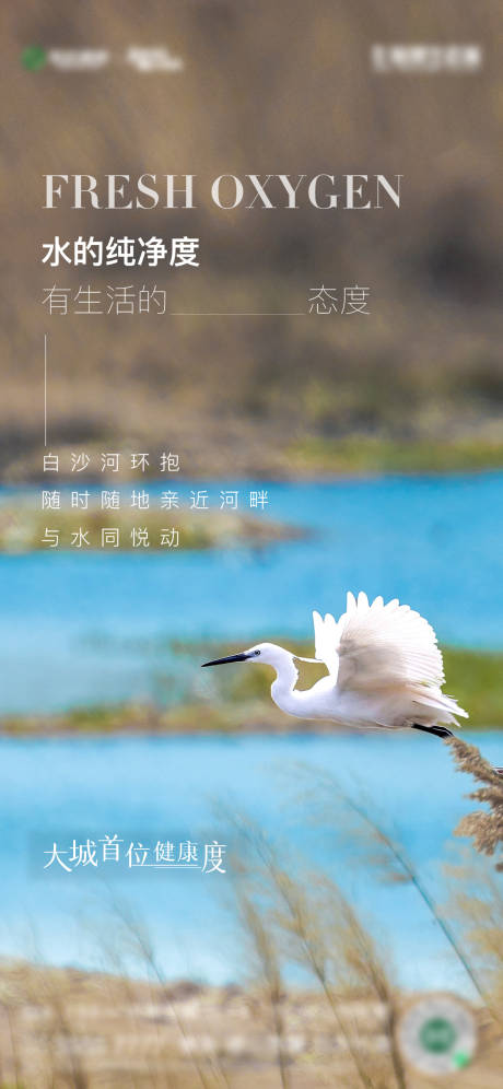 源文件下载【地产风景价值点简约海报】编号：11590009352081756